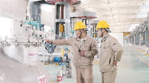 新疆自贸试验区建设 技术咨询助力高质量发展